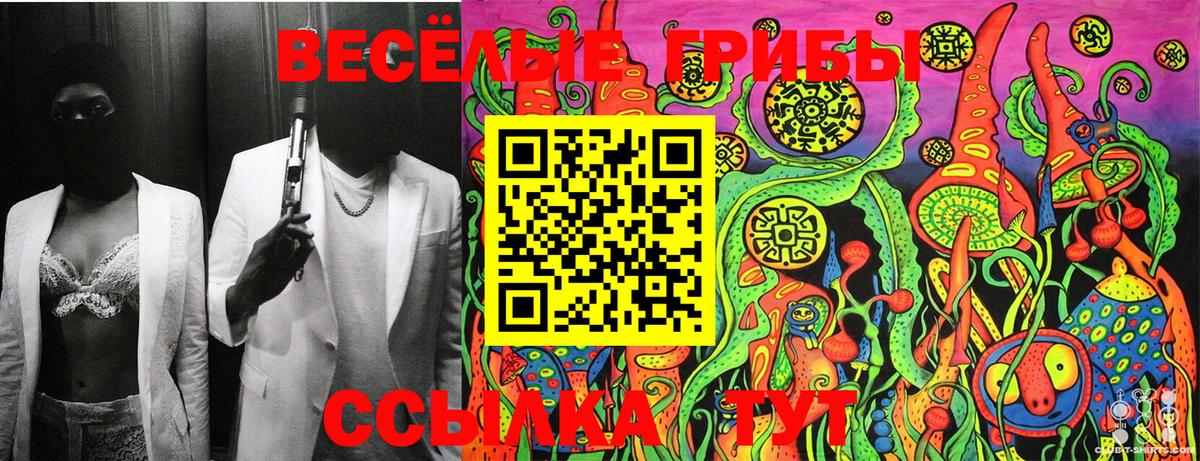 Галлюциногенные грибы Magic Shrooms  Галлюциногенные грибы Cubensis  Вход с VPN  Одинцово 
