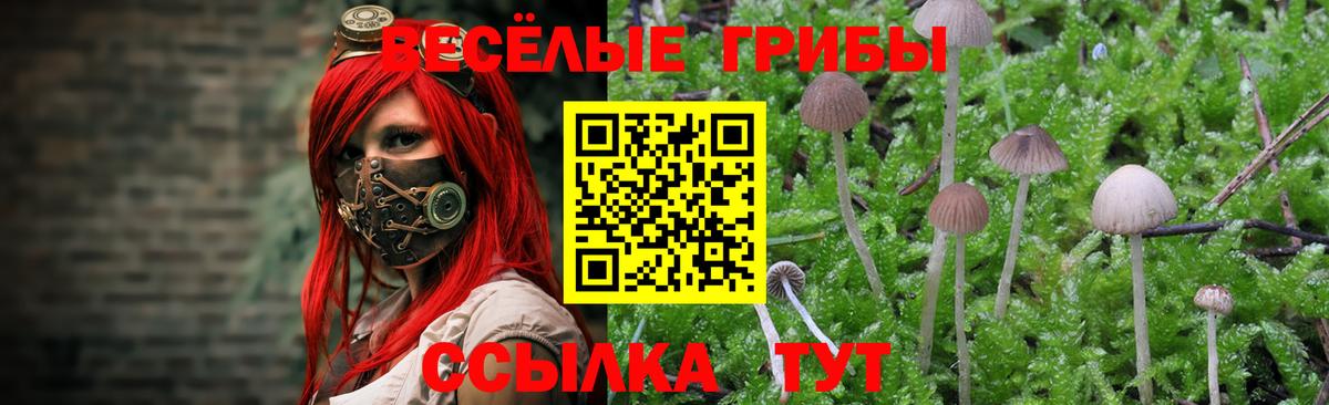 Псилоцибиновые грибы прущие грибы Одинцово
